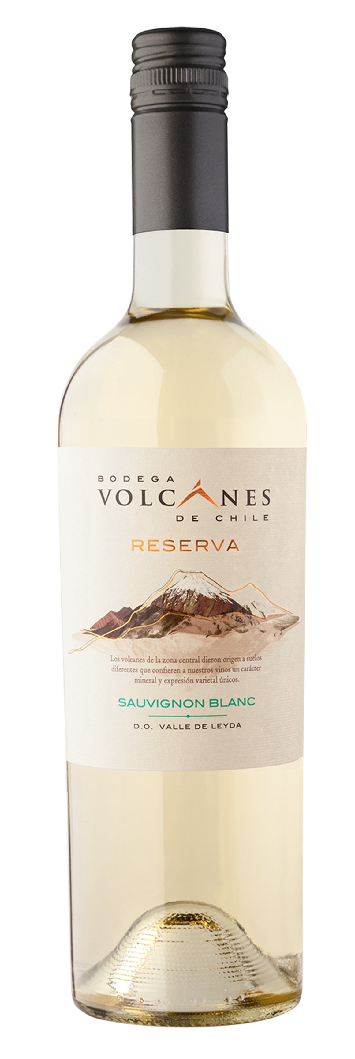 Volcanes Reserve Sauvignon Blanc 2021