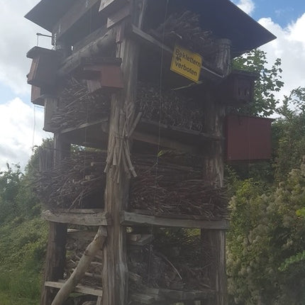 Biodynamics with Alex Pfluger