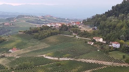 Picturesque Piemonte