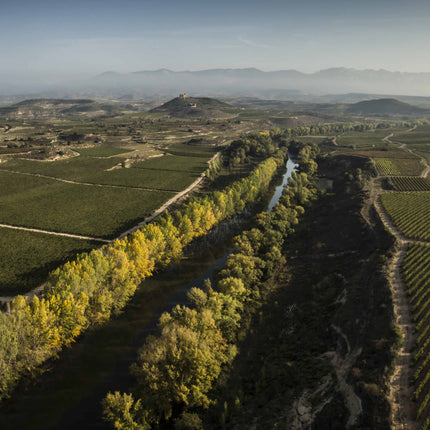 In Search of Rioja