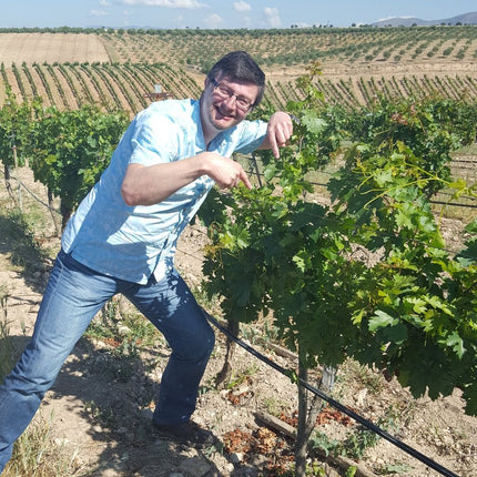 Diary of a Wine Merchant: The Covid Years – Part II