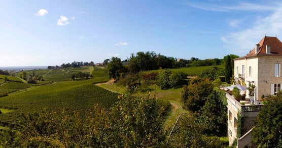Château Barde-Haut Saint-Émilion Grand Cru Classé 2016 - Connollys Wine