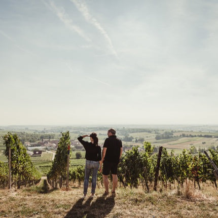 April is German Wine Month at Connolly's