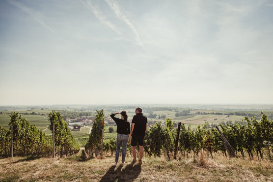 April is German Wine Month at Connolly's