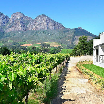 Afskop!- Week 4: Vrede en Lust