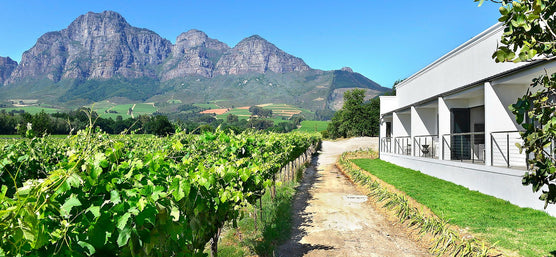 Afskop!- Week 4: Vrede en Lust