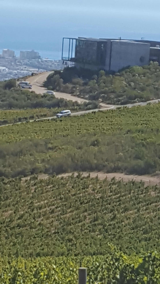 South Africa Days 3 & 4: A Digger's a Wonderful Thing