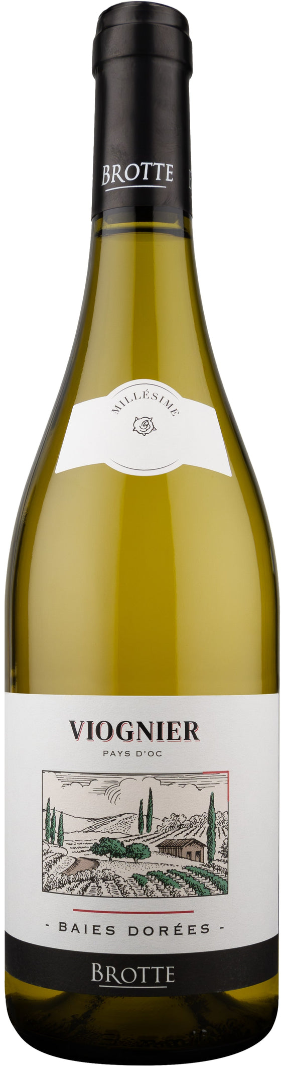Viognier, Brotte Baies Dorees 2024