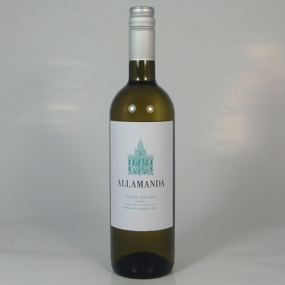 Pinot Grigio, Allamanda 2024