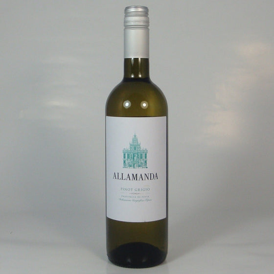 Pinot Grigio, Allamanda 2024
