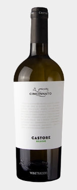 Cincinnato Bellone Castore