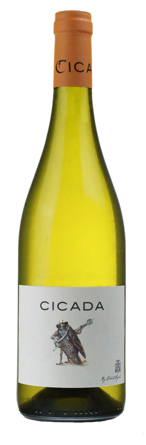 Cicada Blanc, Chante Cigale 2024