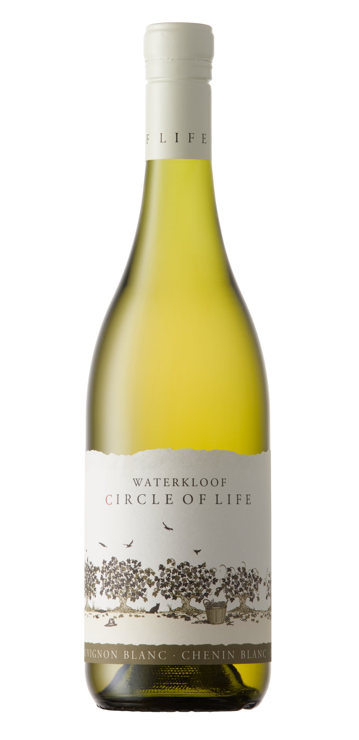 Circle of Life White, Waterkloof 2023