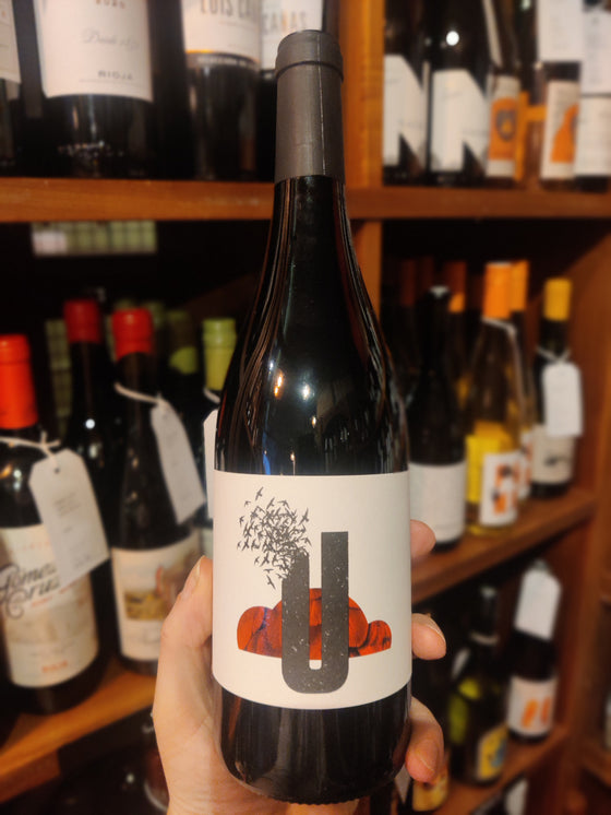 Els Vil Illusionistes Unanim Simbiosi 2020